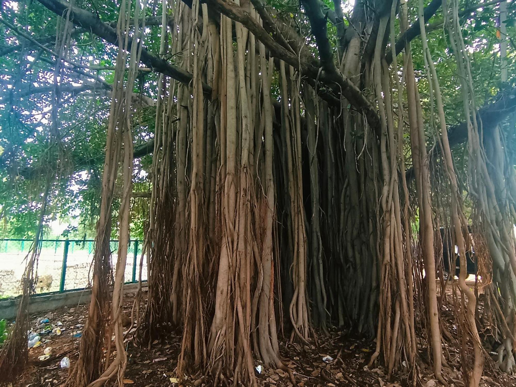 Hampi Anjana Home Stay Bagian luar foto